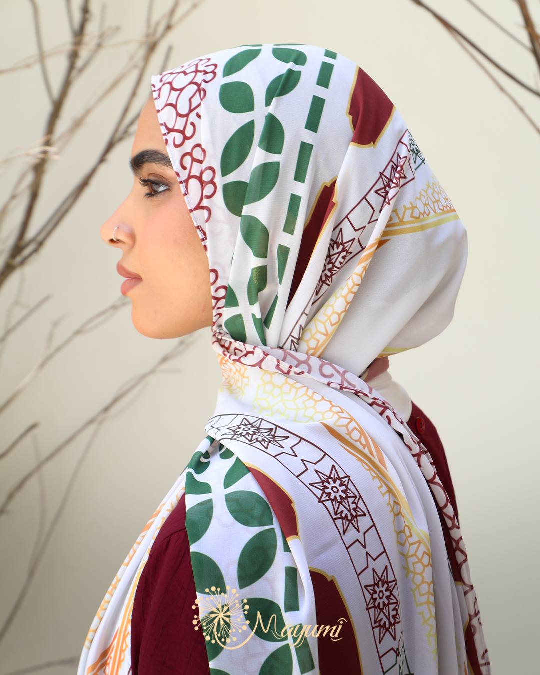 Arabian desert
